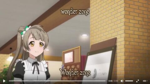 Wonder zone