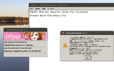 FansubsCleaner - запуск